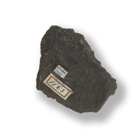 M 07484
<br/>
<br/>
<em></em>